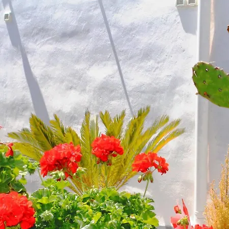 Bed & Breakfast La Corte Degli Spada - Borgo Antico Del Salento